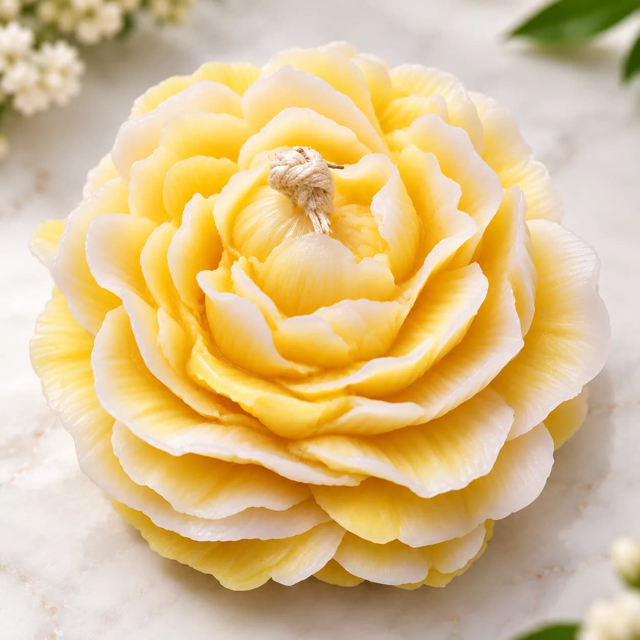 Peony Bloom