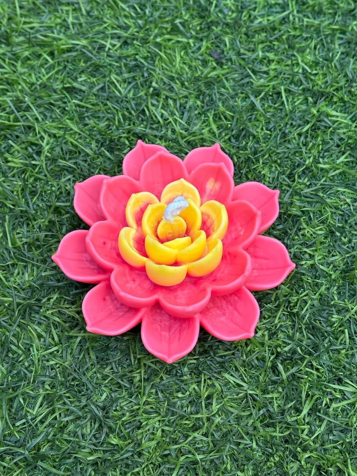 Succulent Design